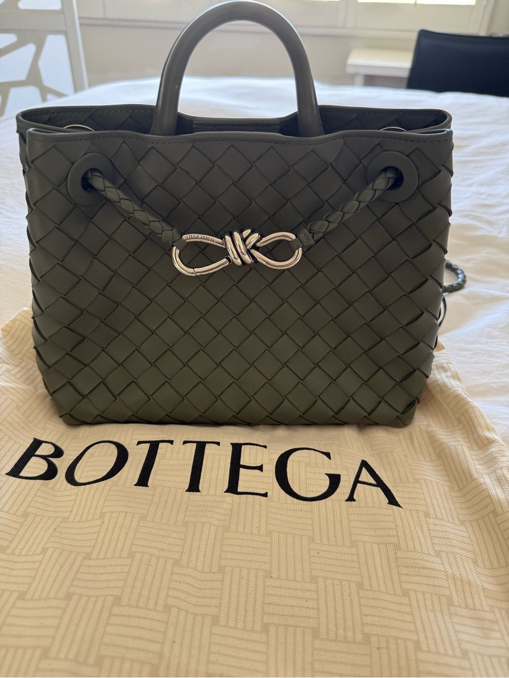Bottega Veneta Small Andiamo Color: Pickle